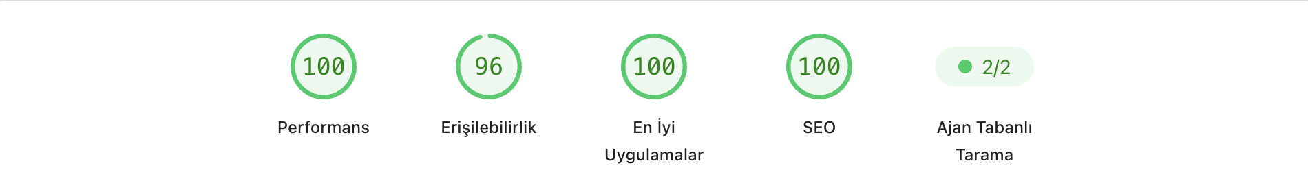 Google PageSpeed masaüstü sonucu — Performans 100, Erişilebilirlik 96, En İyi Uygulamalar 100, SEO 100